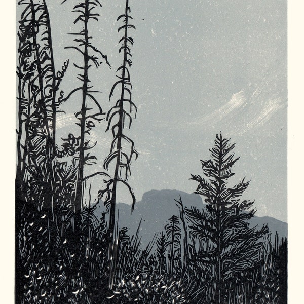 On Fenland Trail, Banff, 3 Color Linocut Reduction Art, Hand Pulled, Limited Edition, Printmaking Original