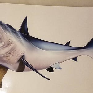 High Resolution Mako Shark Decal Mako Shark Boat Graphics - Etsy UK
