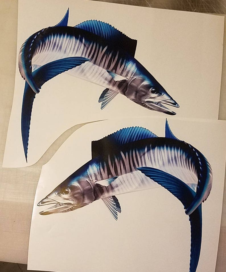Download High resolution wahoo fish decal wahoo sticker ono decal | Etsy