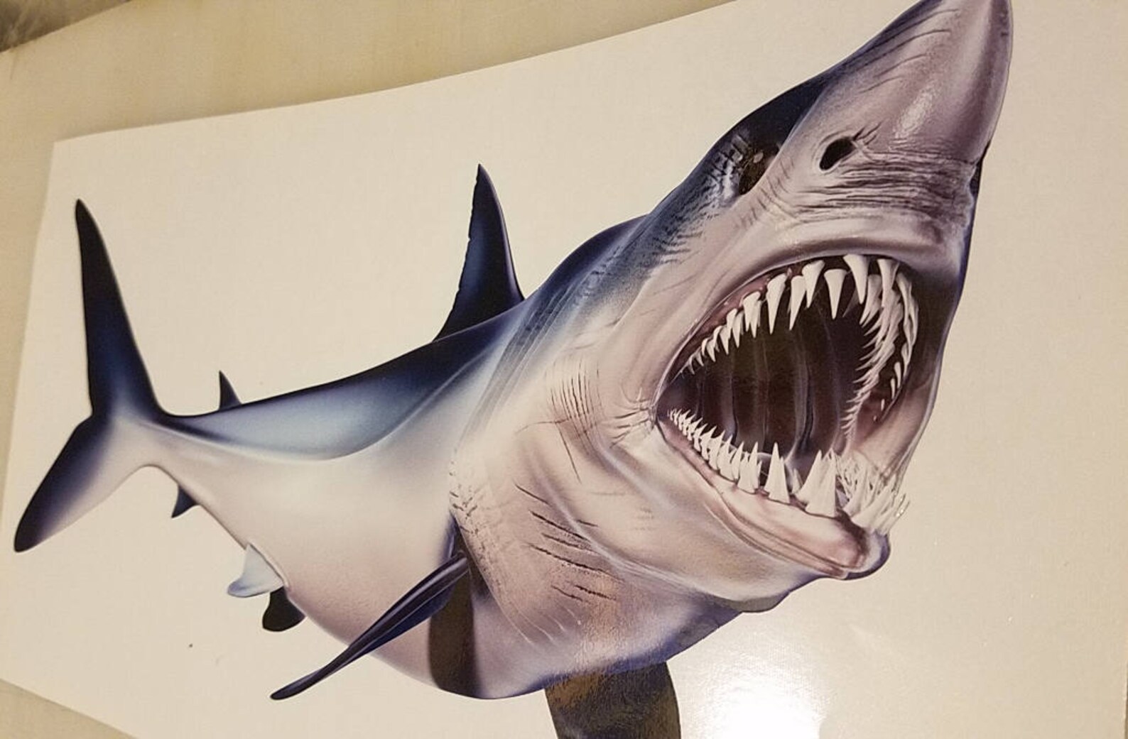 High Resolution Mako Shark Decal, Mako Shark, Boat Graphics, Mako - Etsy