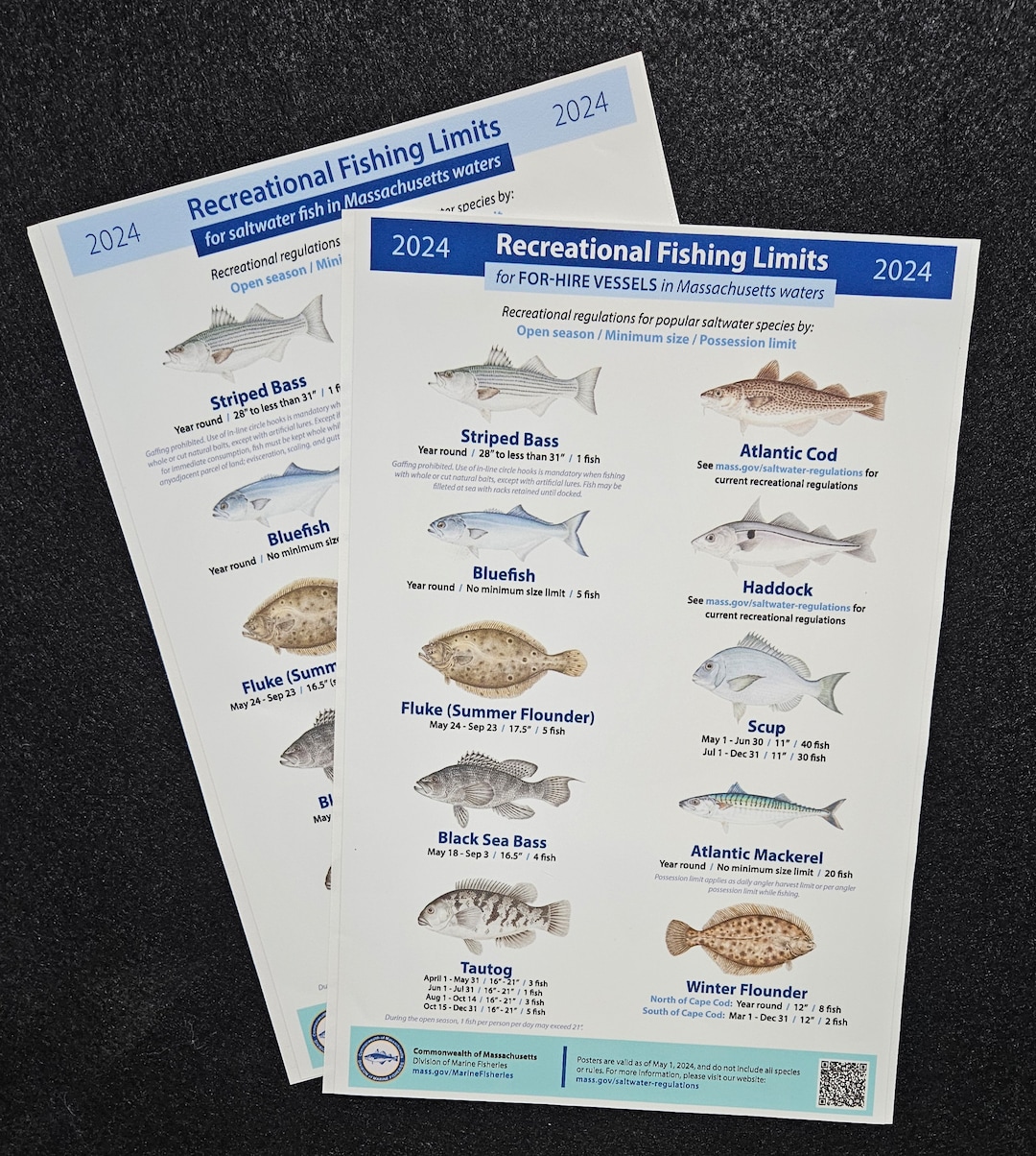 Massachusetts 2024 Recreational Salt Water Fishing Regulations ...
