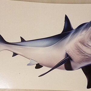 High Resolution Mako Shark Decal, Mako Shark, Boat Graphics, Mako - Etsy