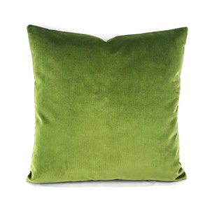May include: A solid green velvet pillow with a square shape. The pillow is made of a soft, plush fabric.