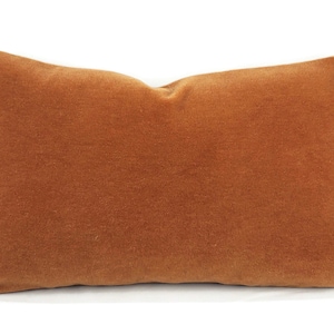 May include: A rectangular brown velvet pillow with a smooth, soft texture.