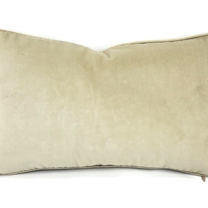 May include: A beige rectangular pillow with a zipper closure. The pillow is made of a soft, velvety fabric.
