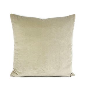 Soft Tan Velvet Pillow Cover: Square Euro Sham, Beige Cushion Case