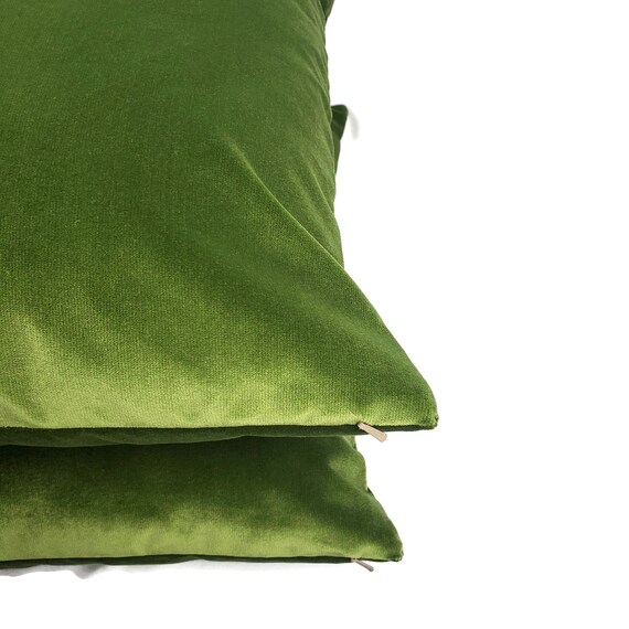 Light Moss Green Plush Velvet Pillow Cover Alpine Green Velvet