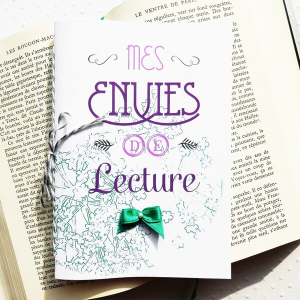 Carnet relié Mes envies de Lecture, vert et violet, fait-main
