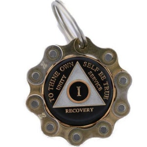Bike Chain Medallion Holder Gold for Triplated Coins and Bronze ...