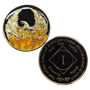 NA Out of Ashes Phoenix Yrs 1-45 Recovery Narcotics Anonymous Milestone Chip Recovery Medallions 12 Step Tokens 12 Step Gifts  NA Medallions