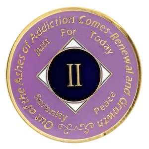 NA Purple Lavender Medallion (Yrs 1-40) Recovery Narcotics Anonymous Milestone Chip - NA Tokens - 12 Step NA Gifts  Clean Time Coins