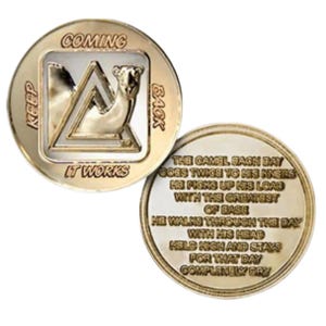 Dubbelvergulde munt "nuchtere kameel" - speciaal medaillon ODATT AA-herstelmedaillon - 12-stappenprogramma - Anonieme Alcoholisten