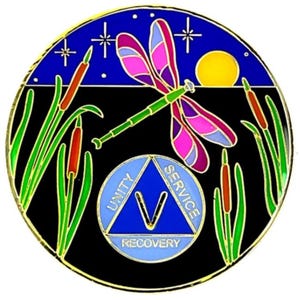 Know Peace AA Dragonfly Recovery Medallion 1-60 Alcoholics Anonymous Anniversary Coin 12 Step Gift Sobriety Milestone Sober Gifts Tokens