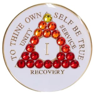 AA Glow in Dark w Transition Red Bling (Yrs 1-65 & 24hrs) Bling Alcoholics Anonymous Crystal Recovery Chip  12 Step Gift  Sober Anniversary