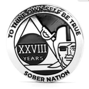 Silver and Black Raider Pirate Yearly (1-50) Alcoholics Anonymous AA Recovery Medallion - AA Chips Sober Tokens  12 Step Coins Sports