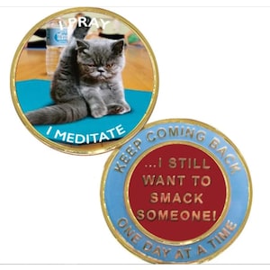 Yoga Cat AA Medallion Coin Specialty Coin Recovery Medallion AA - NA