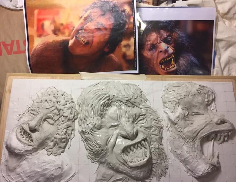 Wolf transformation story image