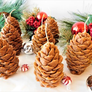 May include: Five brown pine cone shaped candles with white wicks. The candles are arranged on a white surface with green pine branches and red and silver ornaments.