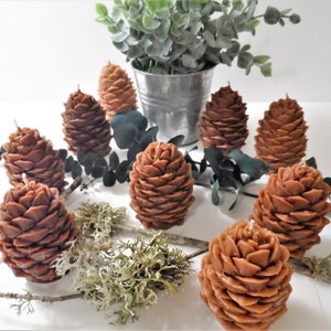 May include: A group of eight brown pine cone shaped candles on a white surface with green eucalyptus leaves and brown moss.