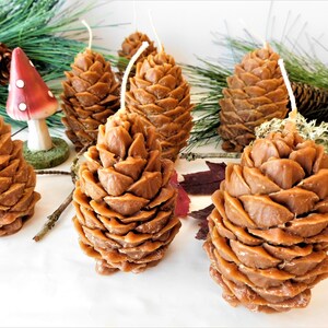 May include: A group of six brown pine cone shaped candles on a white surface. The candles are made of beeswax and have a natural, rustic look.