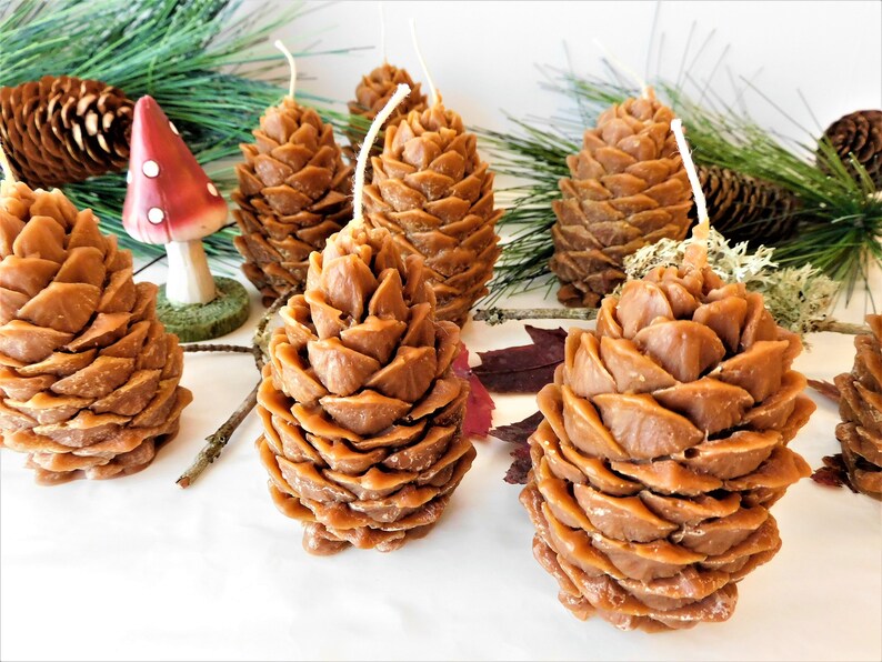 May include: A group of six brown pine cone shaped candles on a white surface. The candles are made of beeswax and have a natural, rustic look.
