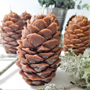 May include: Four brown pine cone shaped candles on a white surface with green moss and a twig.