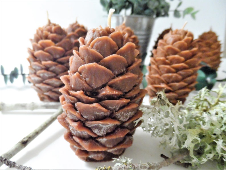 May include: Four brown pine cone shaped candles on a white surface with green moss and a twig.