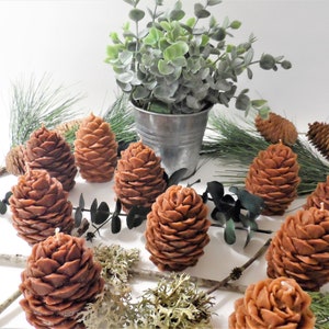May include: A group of brown pine cone shaped candles on a white surface with green eucalyptus sprigs and pine needles.