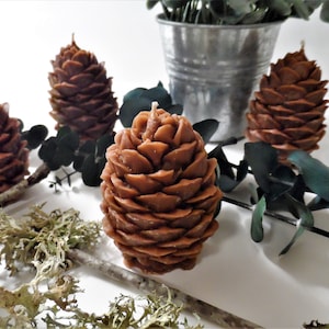 May include: Five brown pine cone shaped candles on a white surface with green eucalyptus leaves and brown moss.