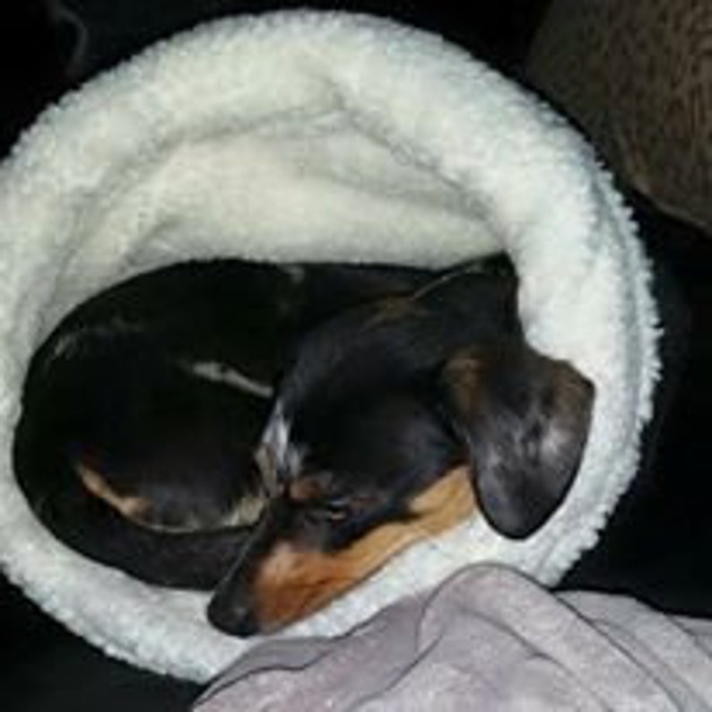 May include: A black and tan Dachshund dog curled up in a white, fluffy pet bed. The dog is asleep, with its head resting on its paws. The bed is round and has a soft, plush texture.