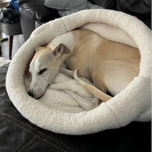 May include: A light tan and white dog is curled up asleep inside a soft, white, fluffy pet bed. The dog's head rests on a white blanket, and its body is nestled within the bed's circular shape. The bed appears cozy and inviting.
