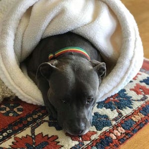 May include: A grey dog with a multi-coloured collar is nestled inside a white, fluffy dog bed. The dog is lying on a patterned rug with red, blue, and cream colours. The dog bed is a cosy, enclosed design.