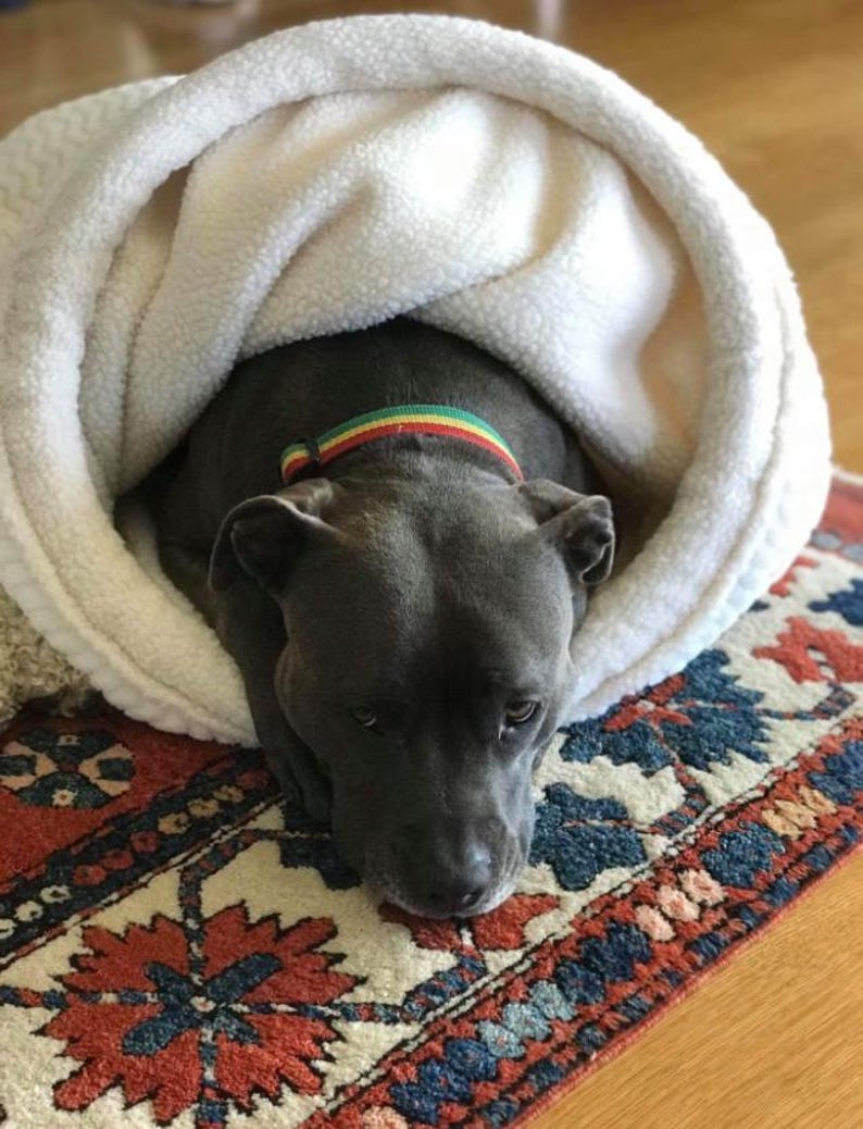 May include: A grey dog with a multi-coloured collar is nestled inside a white, fluffy dog bed. The dog is lying on a patterned rug with red, blue, and cream colours. The dog bed is a cosy, enclosed design.