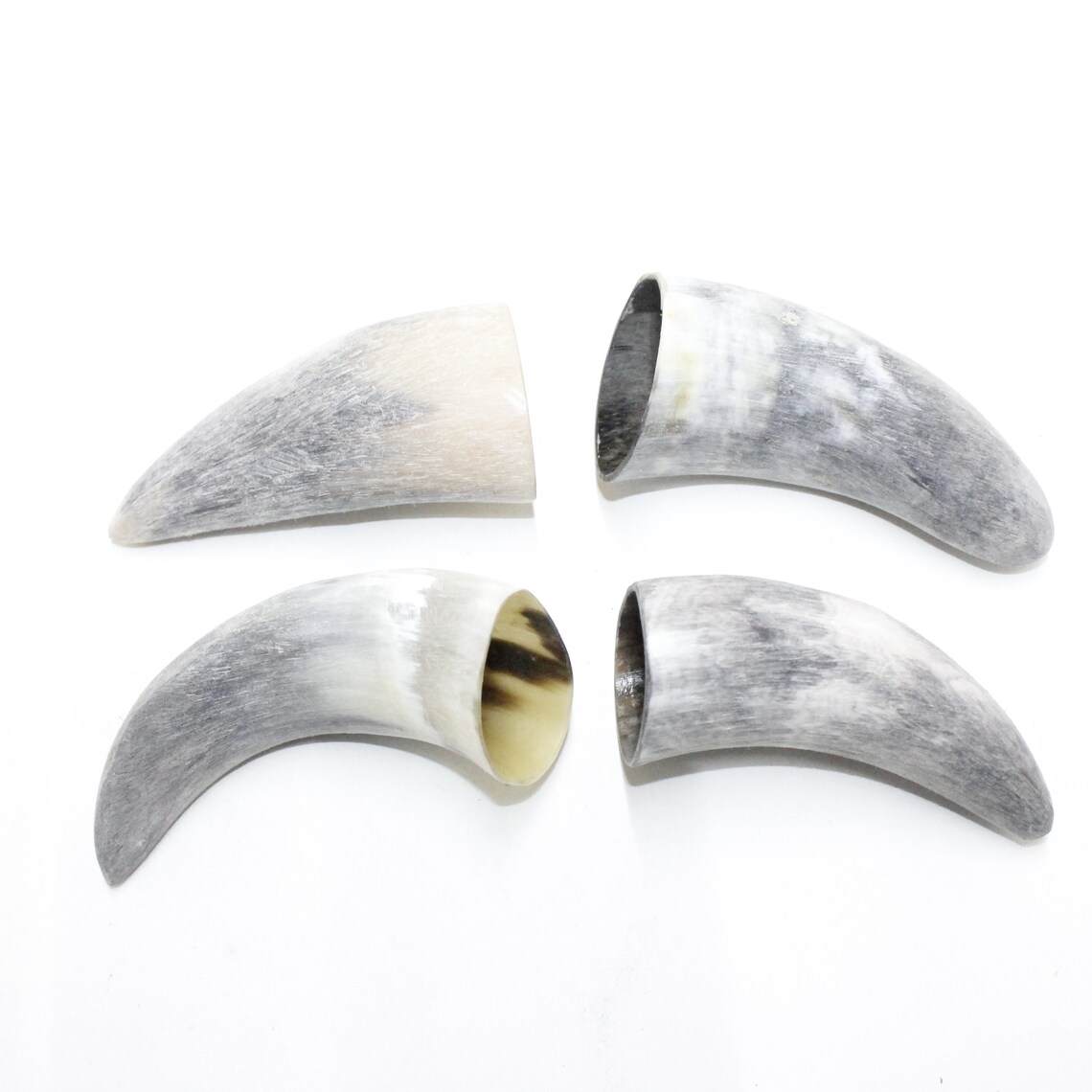 4 Raw Cow Horn Tips 40N Natural Colored Rendezvous Replica Etsy