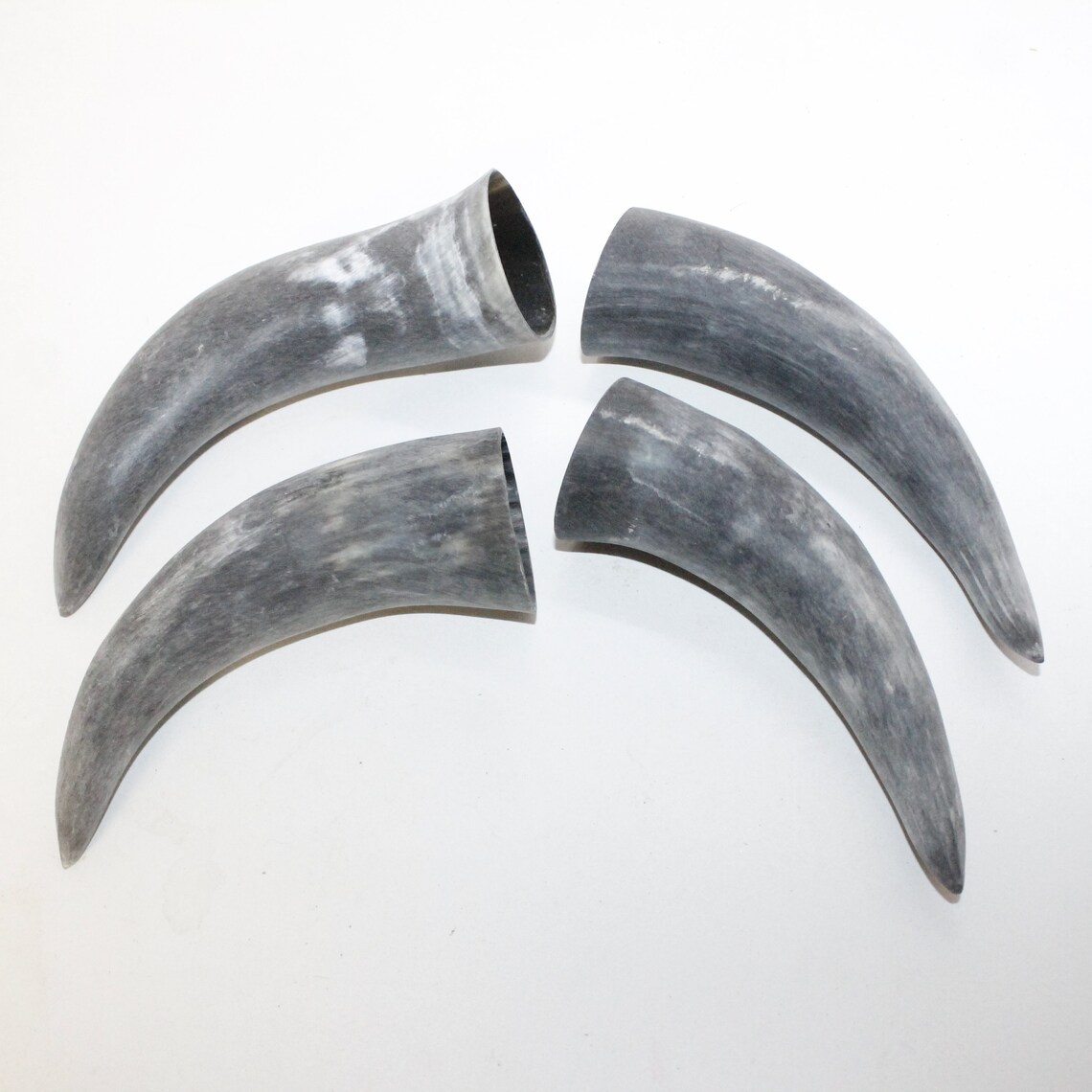 4 Raw Unfinished Cow Horns 7714 Natural Colored Etsy