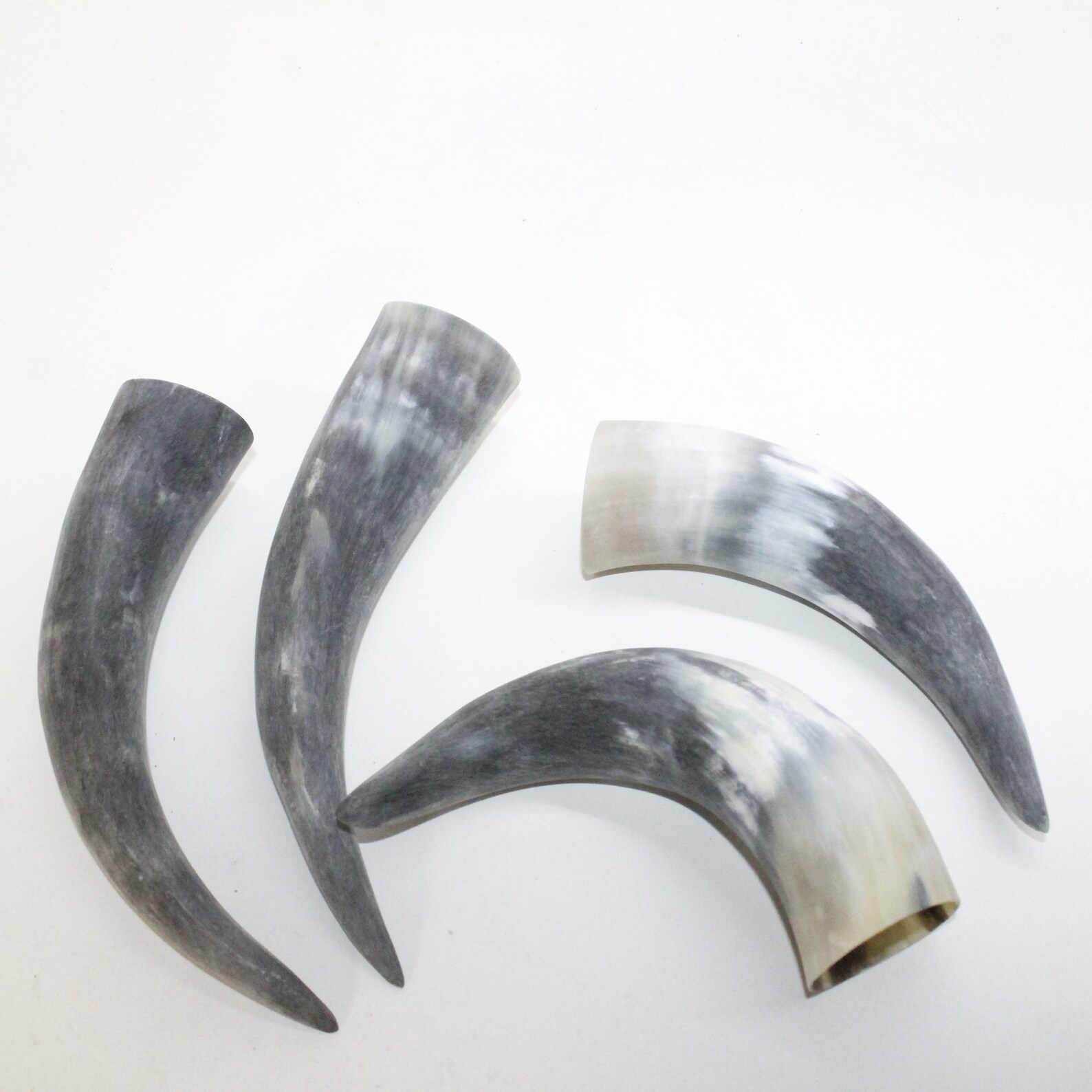 4 Raw Unfinished Cow Horns 2815 Natural Colored Etsy