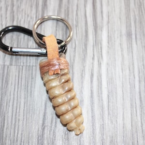 May include: A keychain featuring a segmented, tan-colored rattlesnake rattle attached to a light brown leather strip. The rattle is connected to a silver-toned metal split ring and a black metal carabiner with a silver-colored spring-loaded gate.