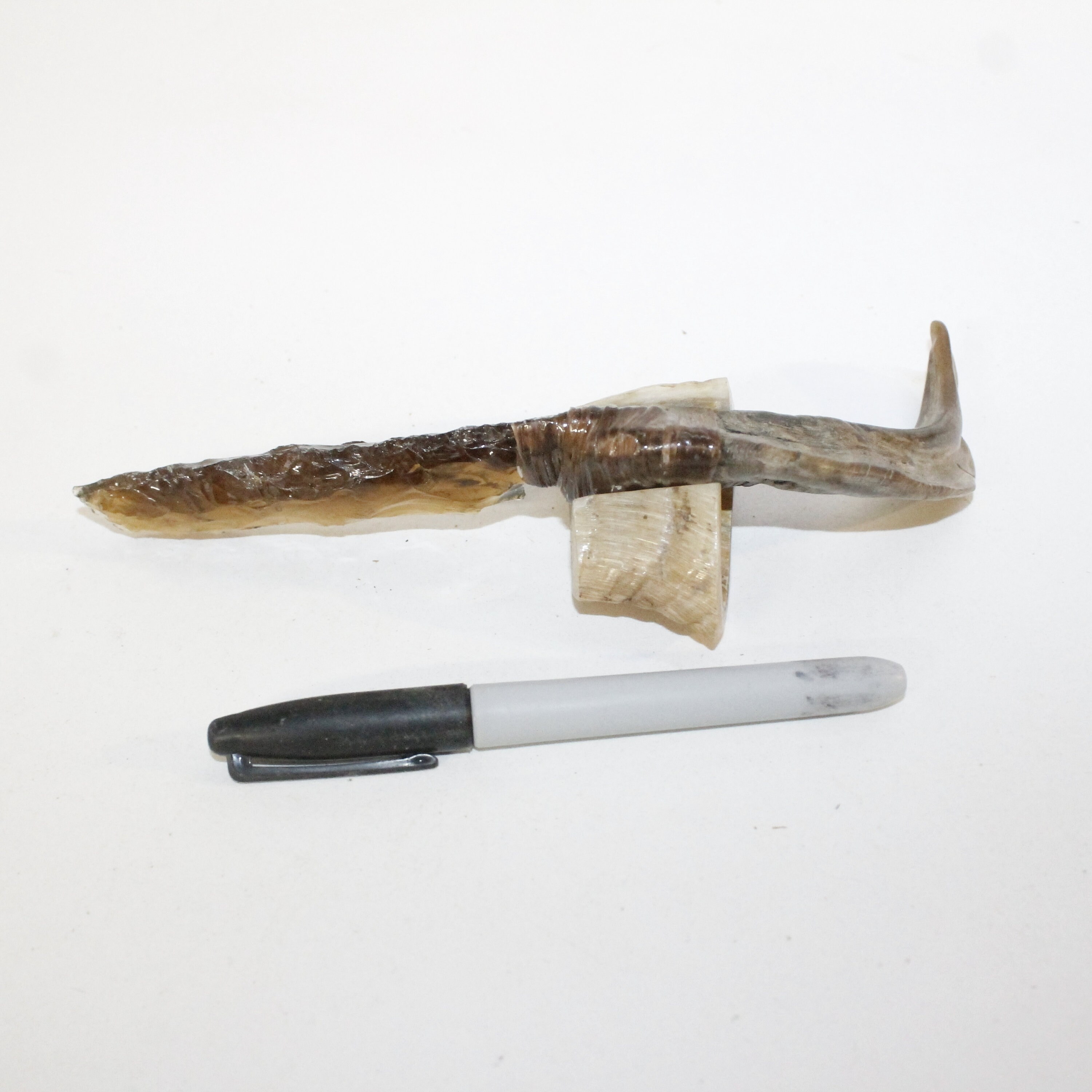 Goat Horn Handle Glass Blade Ornamental Knife 20216 Mountain Etsy