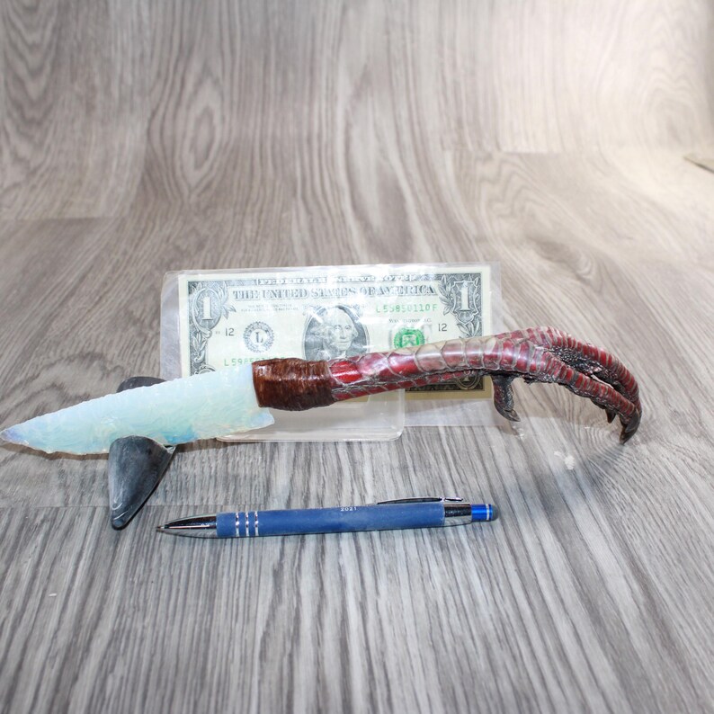 May include: A distinctive knife with a pale blue blade and a handle made from a bird's foot, with brown and red detailing. A blue pen and a one-dollar bill are also visible in the image.