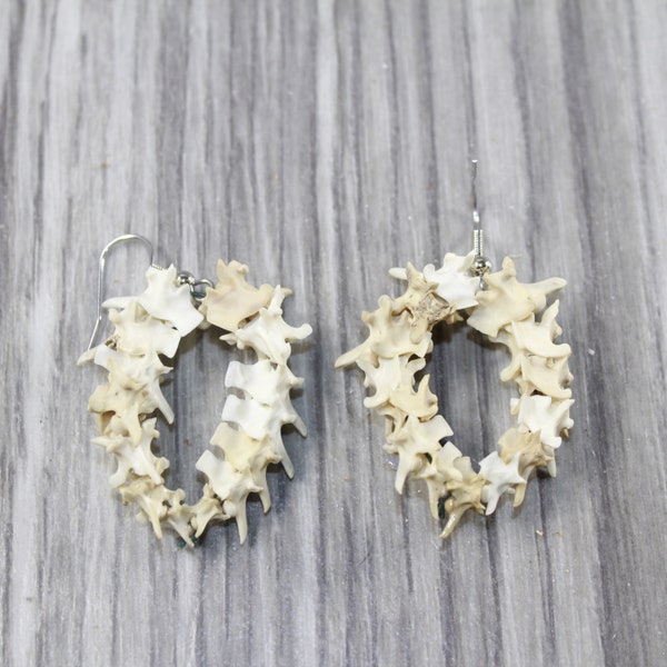 Rattlesnake Vertebrae Earrings  #4043  Mountain Man Earrings