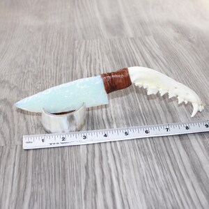 May include: A unique knife with a light blue blade, brown handle, and a bone jawbone. A silver metal ring and a ruler with inch measurements are also present. The knife blade is approximately 5 inches long.