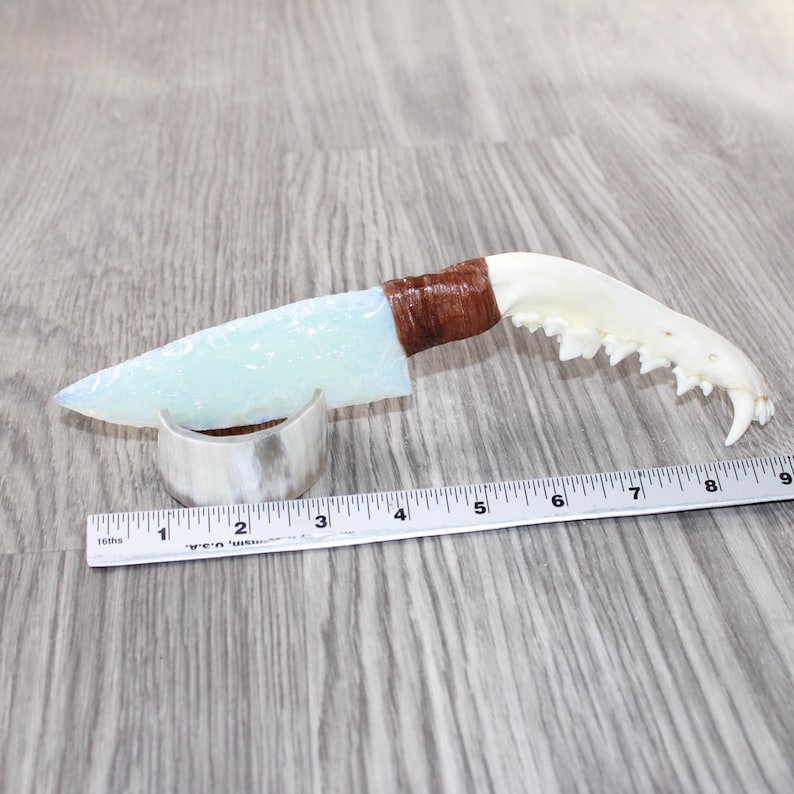 May include: A unique knife with a light blue blade, brown handle, and a bone jawbone. A silver metal ring and a ruler with inch measurements are also present. The knife blade is approximately 5 inches long.