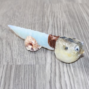 May include: A unique decorative knife featuring a pufferfish head, a light blue blade, and a seashell handle. The blade is attached to the pufferfish head with a brown material. The knife is resting on a wooden surface.
