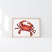 see more listings in the Crabs section