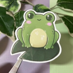 Könnte beinhalten: Ein grüner Frosch mit rosa Wangen sitzt auf einem grünen Seerosenblatt. Der Frosch hat große, schwarze Augen und ein kleines, weißes Lächeln.