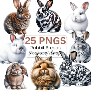 Watercolor Bunny Clipart,, 25 PNG Bunny Clipart, Rabbit Breeds Transparent PNGs, Easter Bunny PNG, Cute Bunny Breed Clipart