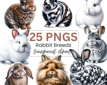 Watercolor Bunny Breed Clipart, 25 PNG Images (Digital Download)