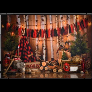 Christmas Photography Backdrop / Rustic Winter Theme Photo Backdrop / Videography Props