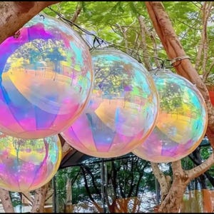 Puede incluir: Cuatro orbes esféricos iridiscentes, con colores de arcoíris, colgando de las ramas de los árboles. Los orbes están hechos de un material transparente y reflejan la luz, creando un espectáculo colorido.