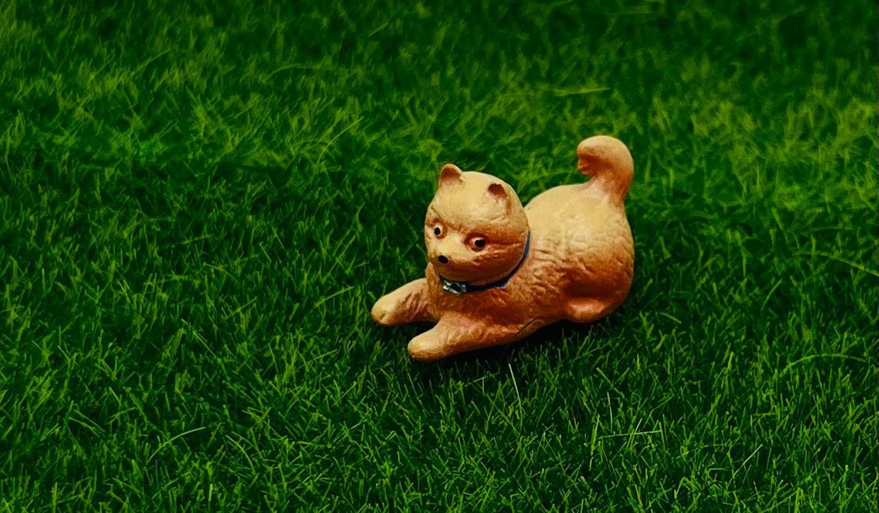 Figurine Accessoire pour maison de poupée chat et chien miniature DELPRADO AKI0188